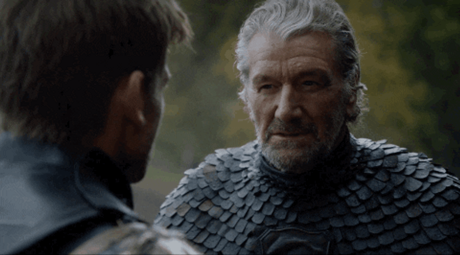 Game Of Thrones The Blackfish GIF