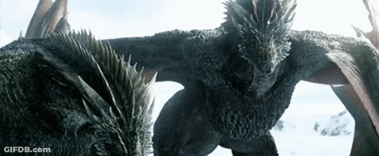 Game Of Thrones Vhagar Dragon GIF