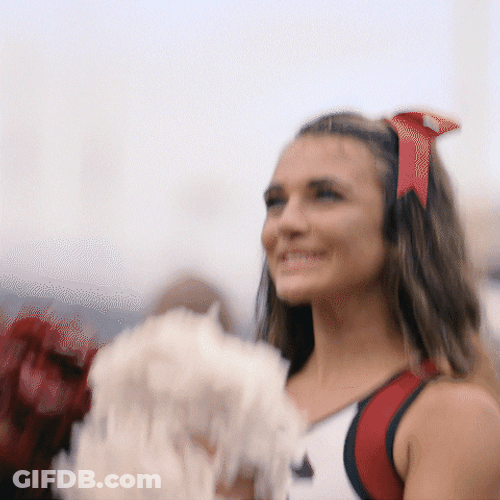 Gamecocks Cheering Squad GIF