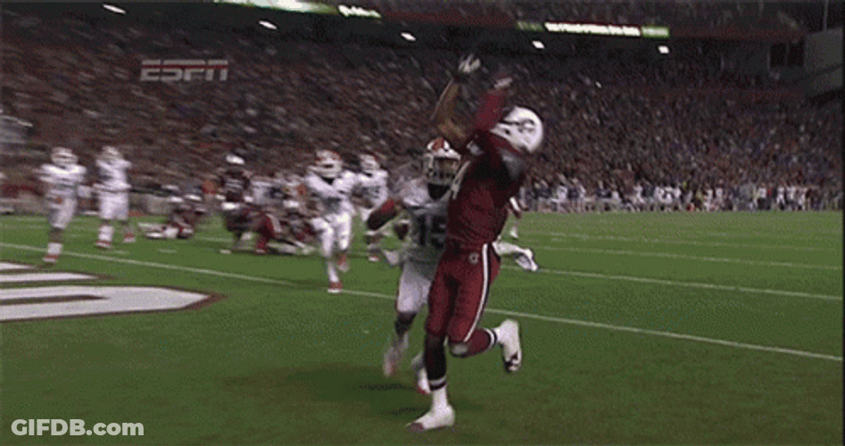 Gamecocks Full Force Ball Catch GIF