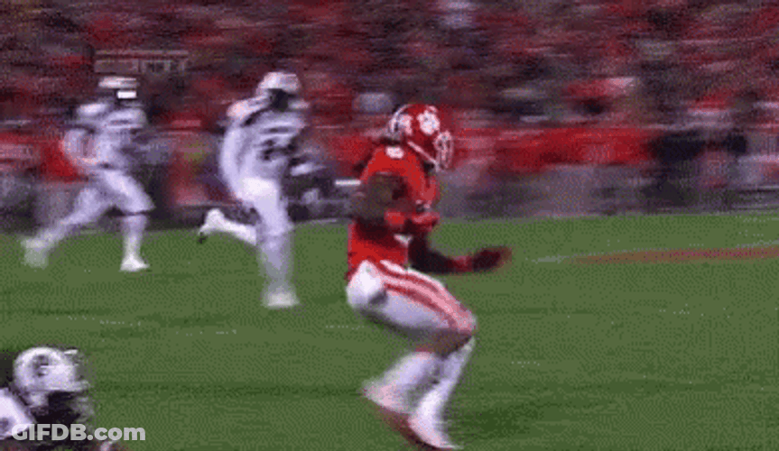 Gamecocks Got Rough Game GIF