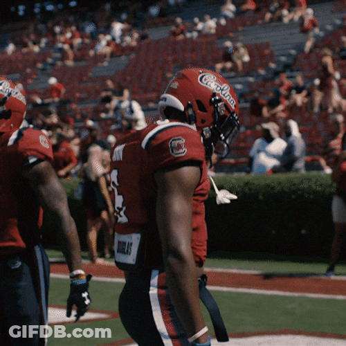 Gamecocks Just Having Fun GIF