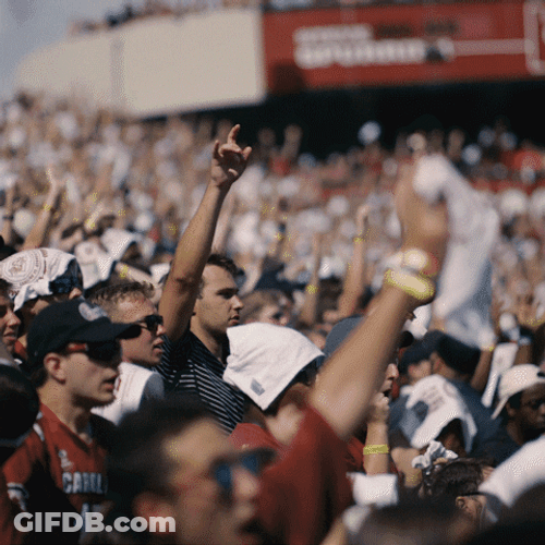 Gamecocks Lively Fans Cheering GIF