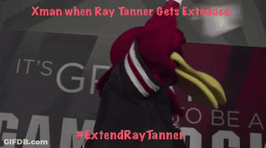 Gamecocks Mascot Cheers For The Game GIF