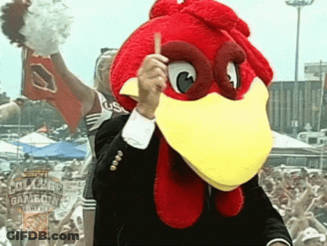 Gamecocks Mascot Jams With The Crowd GIF