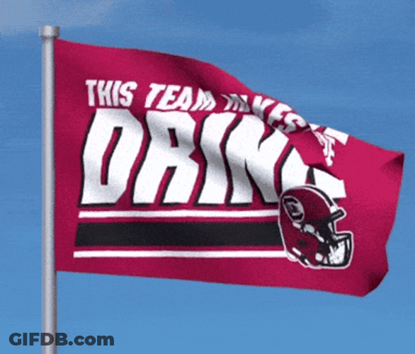 Gamecocks This Team Makes Me Drink Flag GIF