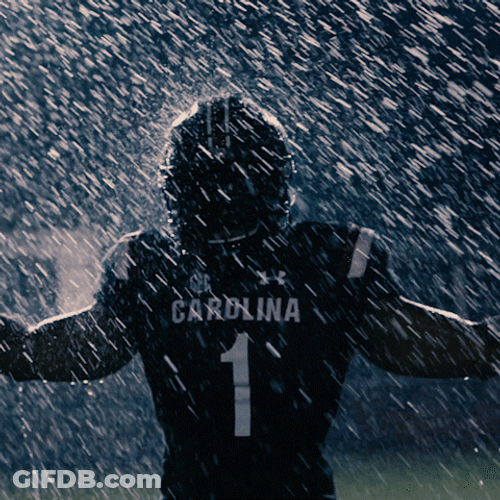 Gamecocks Under The Rain Shower GIF