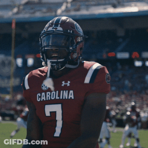 Gamecocks While On The Game GIF