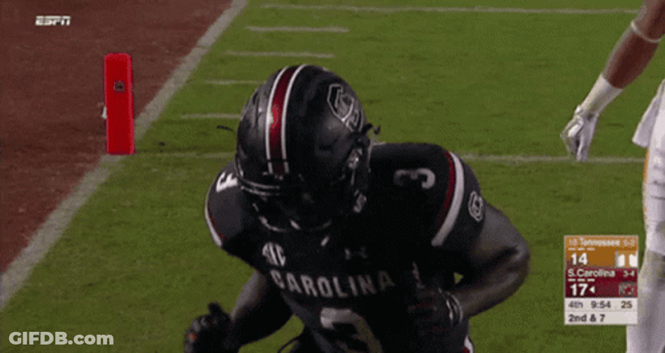 Gamecocks Wiggles The Happiness GIF