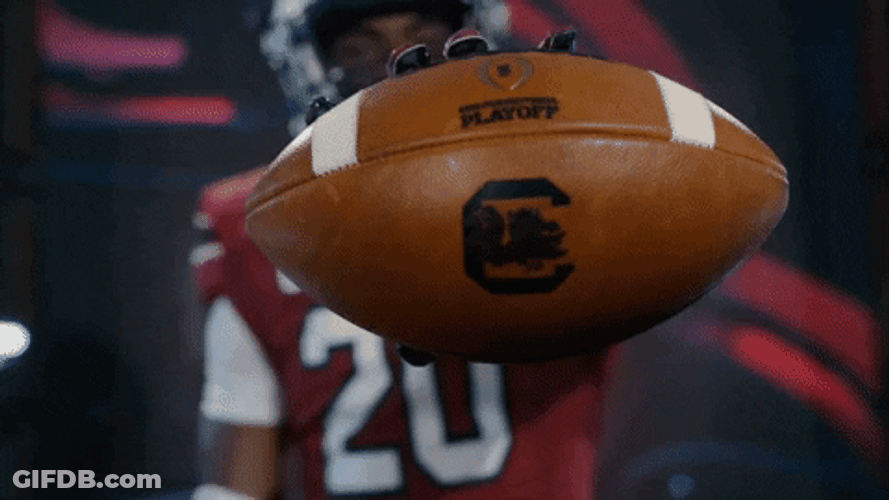 Gamecocks You Got The Ball GIF
