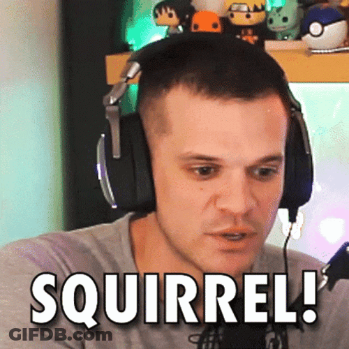 Gamer Distracted By Squirrel GIF
