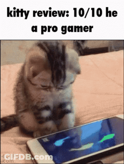 Gamer GIF