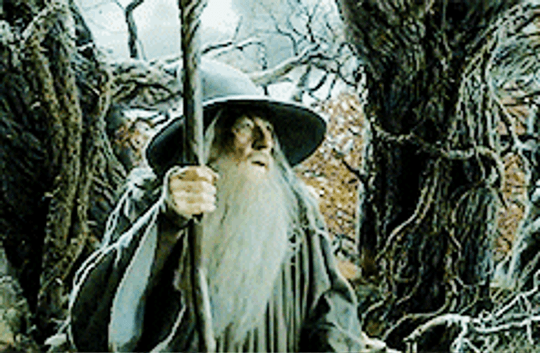 Gandalf Amazed Look GIF