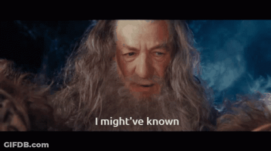 Gandalf I Might've Known GIF