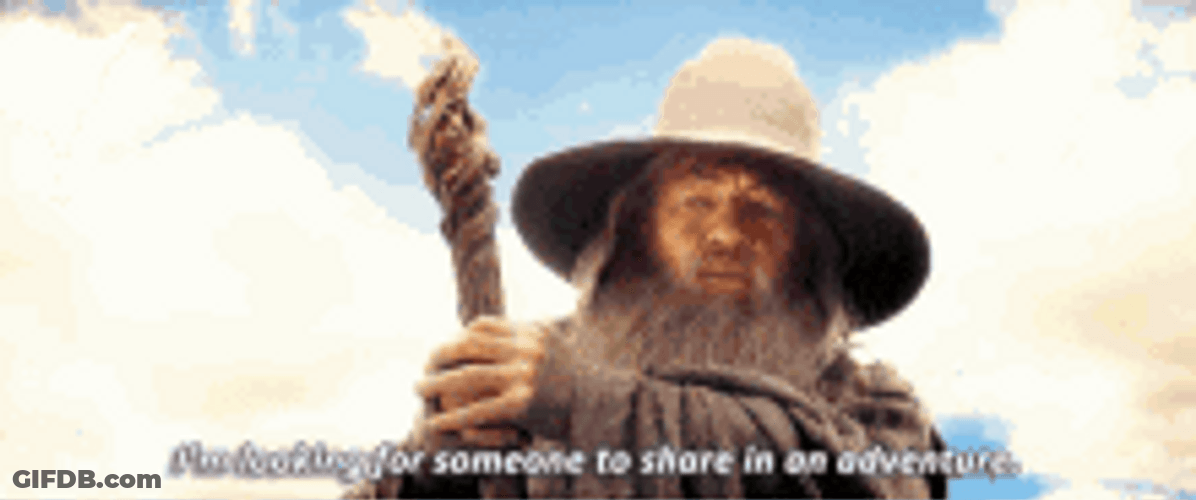 Gandalf Looking For Adventure Meme GIF