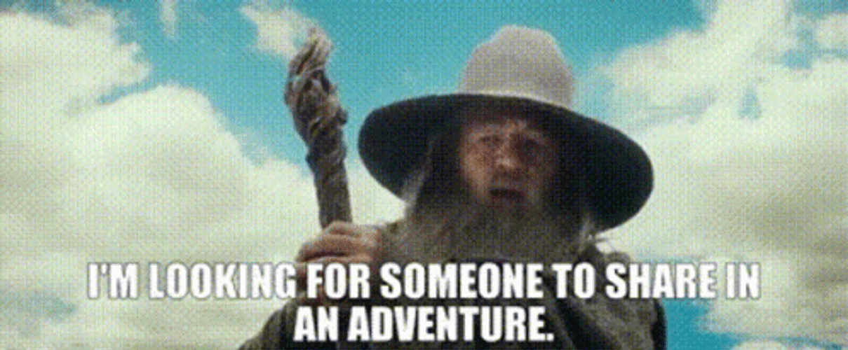 Gandalf Lord OF The Rings Adventure GIF