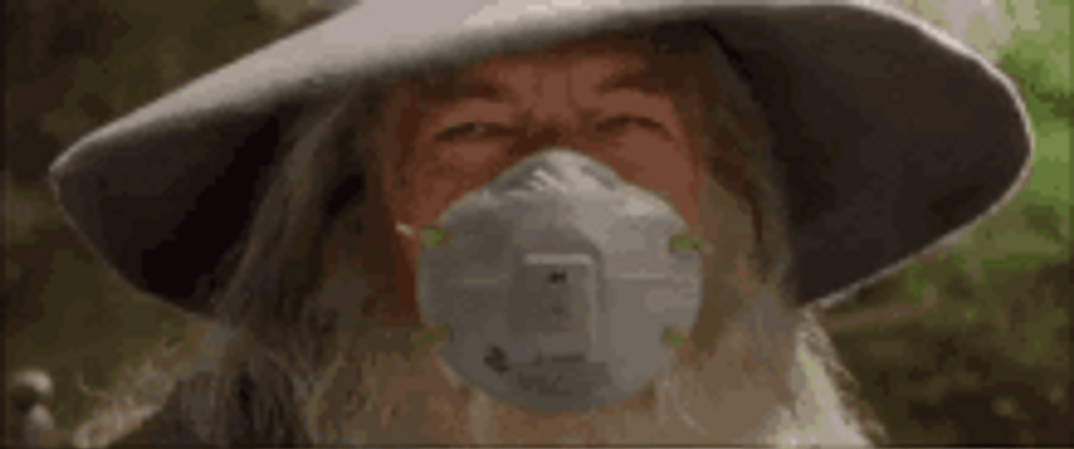 Gandalf Nodding With A Mask GIF