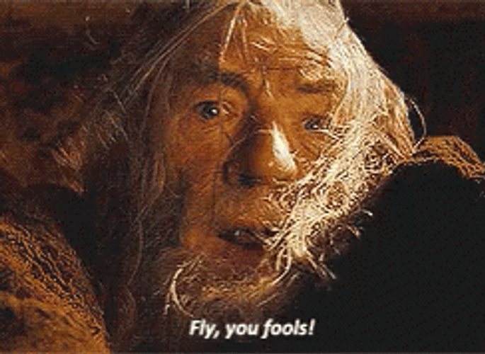 Gandalf Saying Fly You Fools GIF