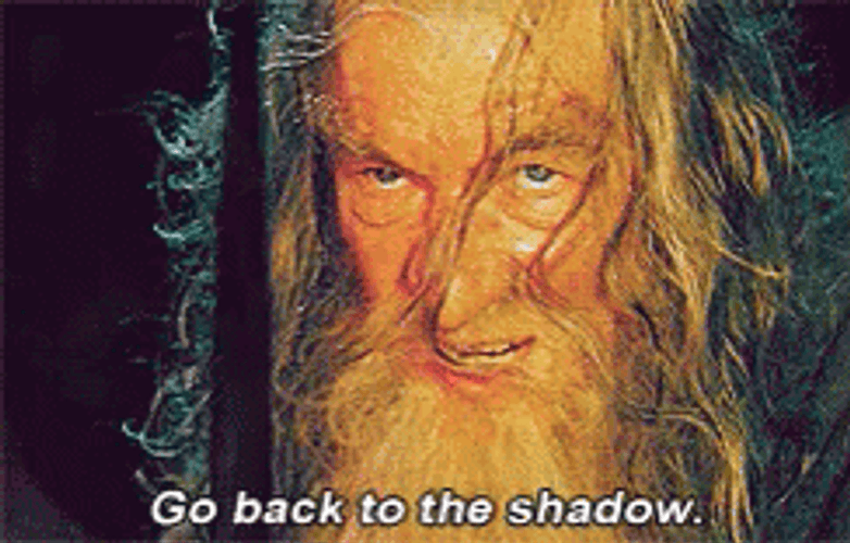 Gandalf Saying Go Back To The Shadow GIF