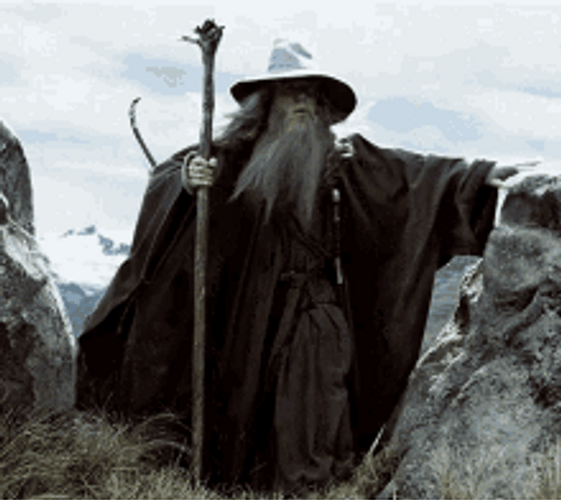 Gandalf Travelling With His Comrade GIF