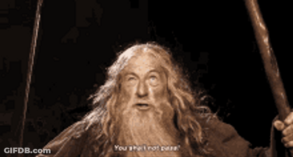 Gandalf You Shall Not Pass GIF