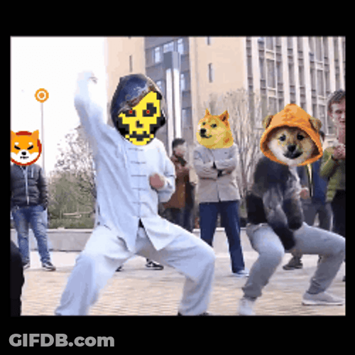 Gang Fighter Doge Meme GIF