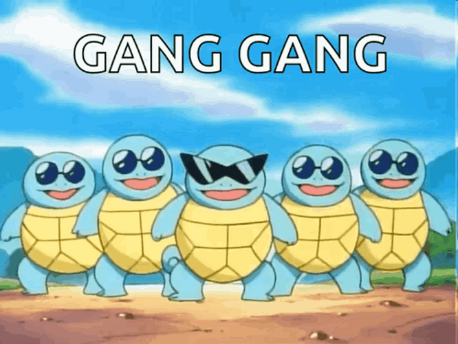 Gang Gang Group Of Pokemon Squirtles GIF