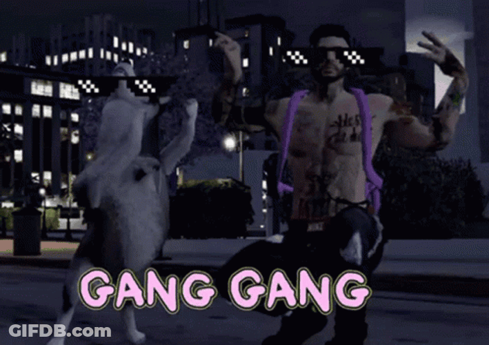Gang Gang Man With His Dog Wearing Shades GIF