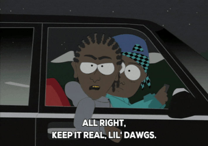 Gangsta Niggers Car South Park GIF