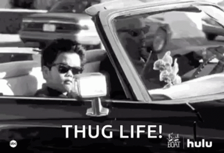Gangsta Thug Life Car Drive Fresh Off The Boat GIF