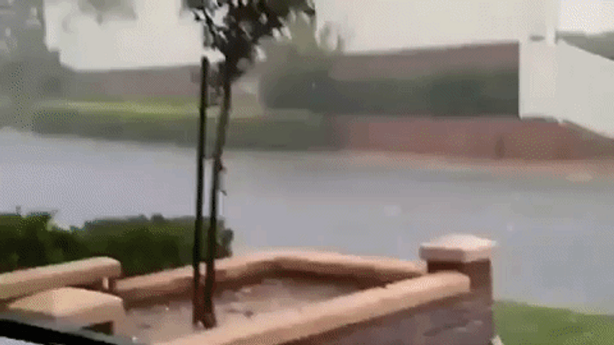 Garbage Bins Racing GIF
