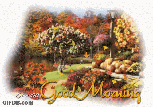 Garden Saying Good Morning GIF