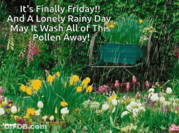 Garden With Flowers Saying It's Finally Friday GIF