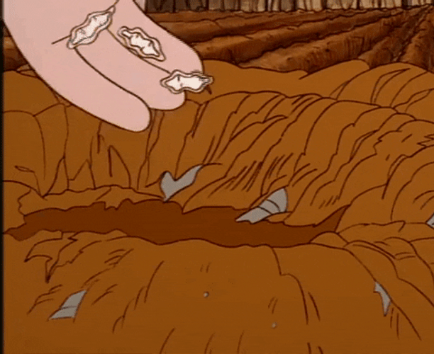 Garedning And Planting Seed GIF