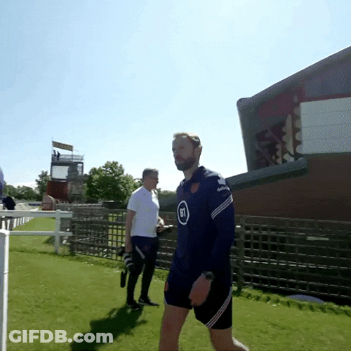 Gareth Southgate Side Look GIF