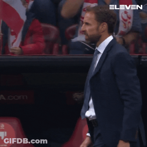 Gareth Southgate Slow Motion Clap Moments GIF
