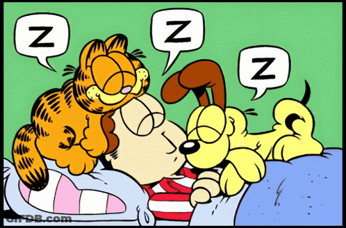 Garfield And Snoopy Sleeping In Bed GIF