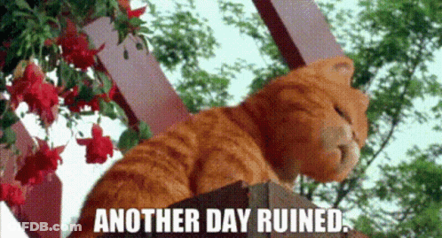 Garfield Another Day Ruined GIF