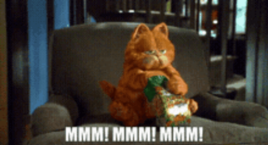 Garfield Cat Eating Snacks Mmmm Hungry GIF