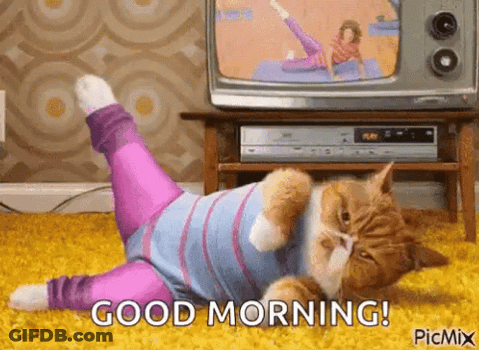 Garfield Cat Imitating Lazy Good Morning Exercise GIF