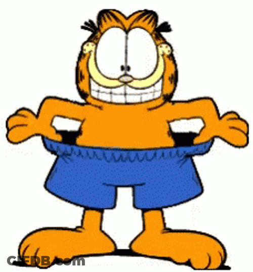 Garfield Cat Wearing Short GIF