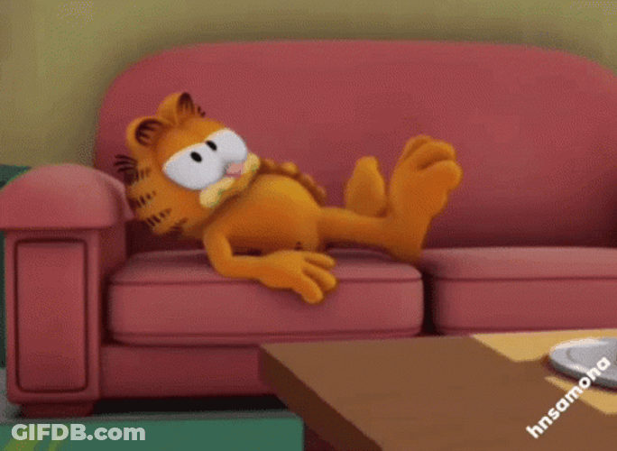 Garfield Couch Sleeping On Monday GIF