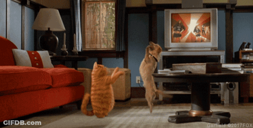 Garfield Dancing And His Dog Friend GIF
