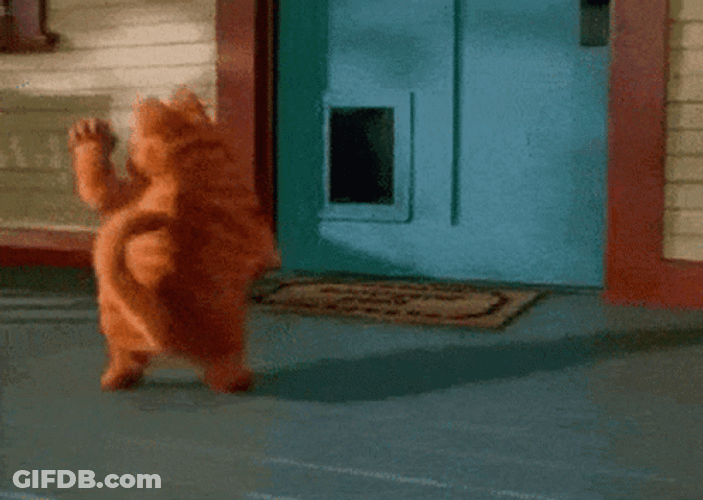 Garfield Dancing Like No One's Watching GIF