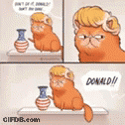 Garfield Donald Trump Looking Meme GIF