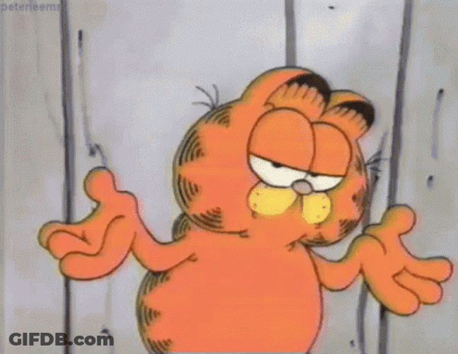 Garfield Dont Care GIF