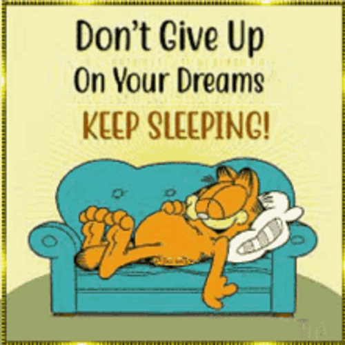 Garfield Dreaming Sleeping GIF