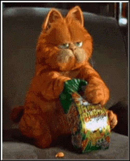 Garfield Eating Crackers GIF