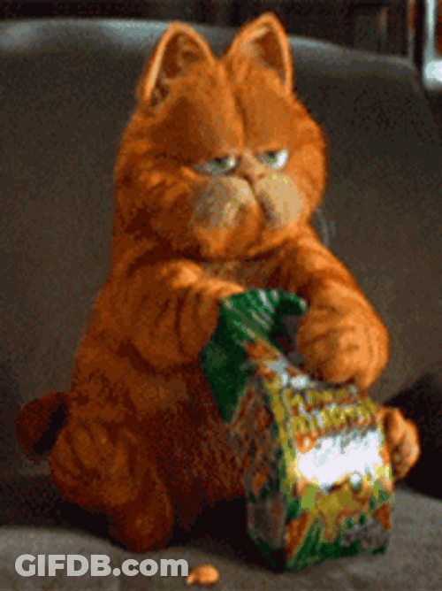 Garfield Eating Snacks GIF
