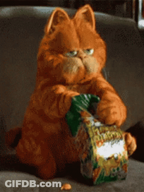 Garfield Eating Snacks GIF